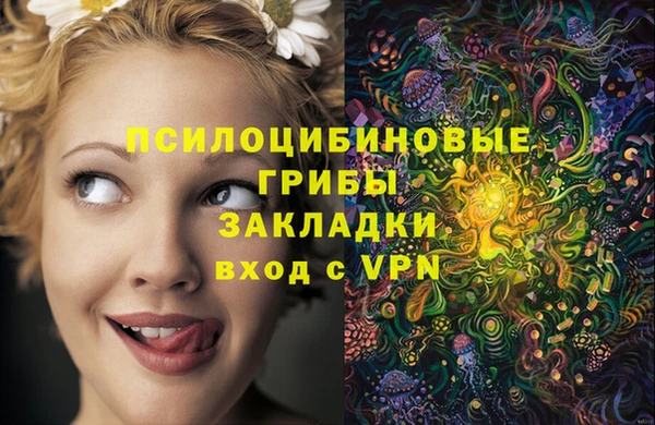 амфетамин Алексеевка