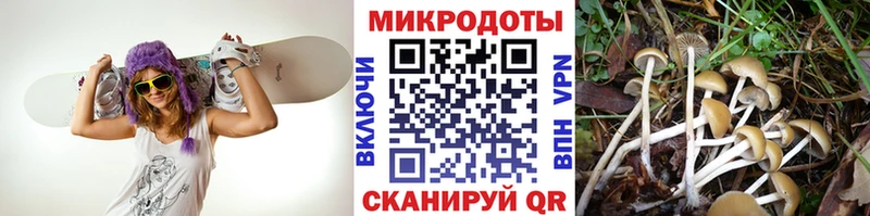 магазин  наркотиков  Волжский  Псилоцибиновые грибы мицелий 